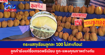 กระแสทุเรียนลูกละ 100 ไม่สะเทือน! พ่อค้าแม่ค้าเผย ลูกค้ายังแห่ซื้อเกรดพรีเมียม