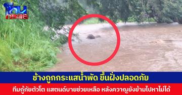 ทีมกู้ภัยตัวโต แสตนด์บายช่วยเหลือ ช้างถูกกระแสน้ำพัดพื้นที่แม่วาง จ.เชียงใหม่  ก่อนพบขึ้นฝั่งปลอดภัย แต่ควาญยังข้ามไปหาไม่ได้ เพราะระดับน้ำสูงและกระแสน้ำเชี่ยว