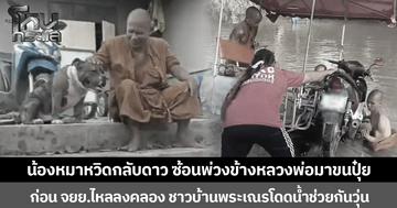 น้องหมาหวิดกลับดาว ซ้อนพ่วงข้างหลวงพ่อมาขนปุ๋ย ก่อน จยย.ไหลลงคลอง ชาวบ้านพระเณรโดดน้ำช่วยกันวุ่น