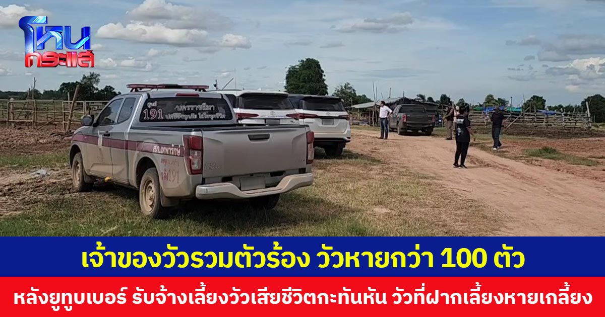 เจ้าของวัวรวมตัวร้องตำรวจช่วยตามหา  วัวหายกว่า 100 ตัว หลังยูทูบเบอร์ รับจ้างเลี้ยงวัวเสียชีวิตกะทันหันวัวที่ฝากเลี้ยงหายเกลี้ยง