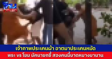 หลวงพ่อเดือด ตะลุมบอนกับโยมกลางวัด พระลั่นโยมคนนี้ชอบมาขโมยของ-ทำร้ายพระ ทนมานาน ไม่ไหวแล้ว!