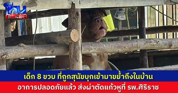 เด็ก 8 ขวบ ที่ถูกพิตบูลกัด ปลอดภัยแล้ว ส่งต่อ รพ.ศิริราช ผ่าตัดหู-แก้วหู
