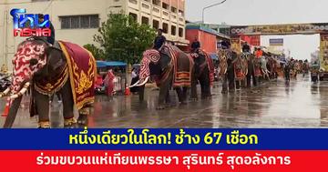 หนึ่งเดียวในโลก! งานมหกรรมแห่เทียนพรรษา ช้าง 67 เชือกร่วมขบวน