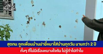 สุดทน ถูกเพื่อนบ้านปาขี้หมาใส่บ้านทุกวัน นานกว่า 2 ปี ทั้ง ๆ ที่ไม่มีเรื่องหมางใจกัน ไม่รู้ทำไปทำไม วอนหน่วยงานที่เกี่ยวข้องช่วยเหลือ