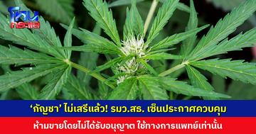 ‘กัญชา’ ไม่เสรีแล้ว! รมว.สาธารณสุข เซ็นประกาศควบคุม ห้ามสูบ ห้ามขายโดยไม่ได้รับอนุญาต ใช้ทางการแพทย์เท่านั้น