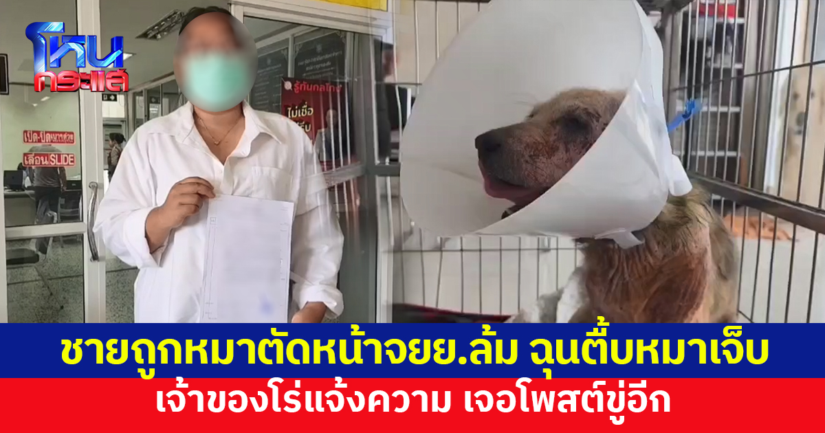 ชายถูกหมาวิ่งตัดหน้าจยย.ล้ม ก่อนลงมากระทืบหมาเจ็บ เจ้าของโร่แจ้งความ เจอโพสต์ขู่