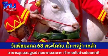 ผลเสี่ยงทาย พระโคกิน “น้ำ-หญ้า-เหล้า” ในพระราชพิธีจรดพระนังคัลแรกนาขวัญ ปี 2568 เปิดคำพยากรณ์ “ค้าขายต่างชาติจะดี เศรษฐกิจรุ่งเรือง”