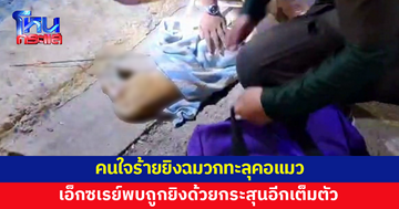 คนใจร้าย! ยิงฉมวกยาว 1 เมตรทะลุคอแมว เอ็กซเรย์พบถูกยิงด้วยกระสุนอีก