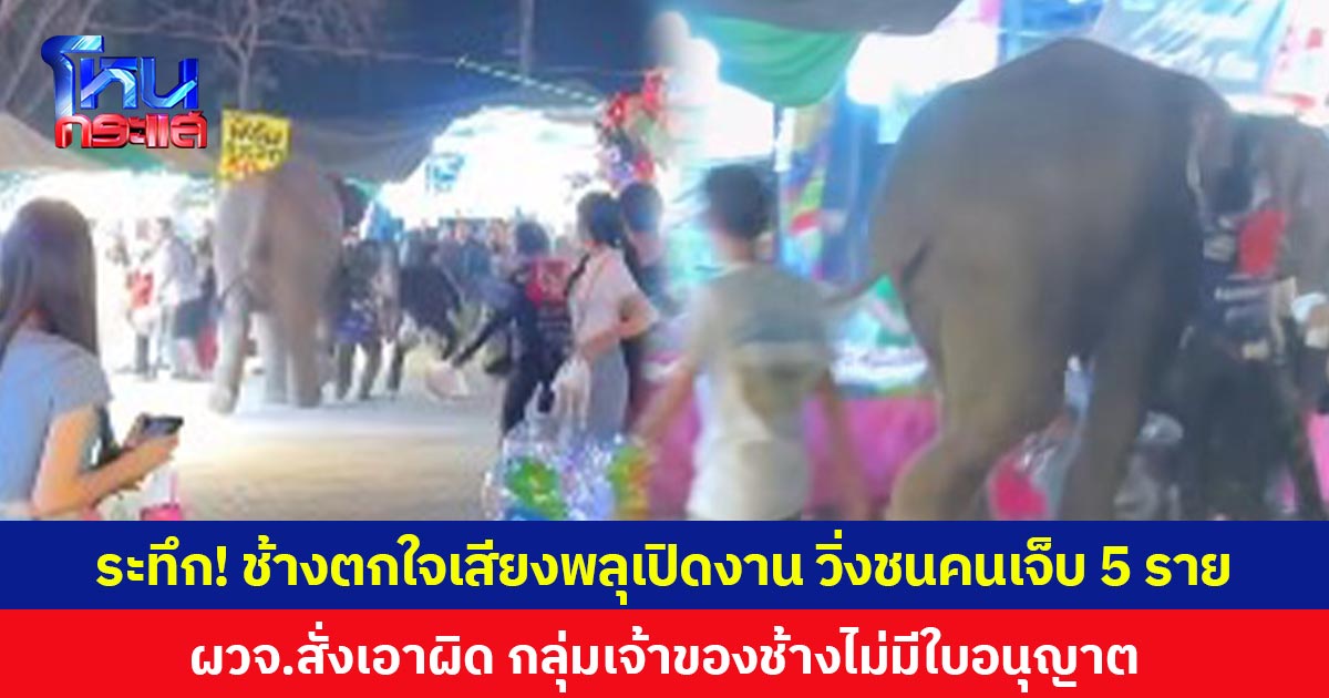 ระทึก! ช้างตกใจเสียงพลุเปิดงาน วิ่งชนคนเจ็บ 5 ราย  ผวจ.สั่งเอาผิด กลุ่มเจ้าของช้างไม่มีใบอนุญาต