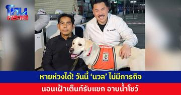 'กัน จอมพลัง' แจ้งข่าว วันนี้ 'นวล' ไม่มีภารกิจ มีแค่นอนเฝ้าเต็นท์รับแขก อาบน้ำโชว์
