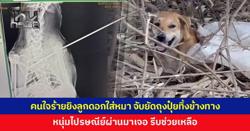 คนใจร้ายยิงลูกดอกใส่น้องหมา จับยัดใส่ถุงปุ๋ยทิ้งป่าข้างทาง หนุ่มไปรษณีย์ผ่านมาเจอ ถึงกับร้องไห้ สงสาร รีบนำส่งรักษา