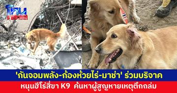 'กันจอมพลัง-ก้องห้วยไร่-มาช่า' ร่วมบริจาค หนุนฮีโร่สี่ขา K9  ค้นหาผู้สูญหายเหตุตึกถล่ม แฟนๆแห่ร่วมด้วย