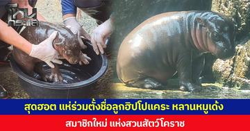 สุดฮอต แห่ร่วมตั้งชื่อลูกฮิปโปแคระ หลานหมูเด้ง สมาชิกใหม่แห่งสวนสัตว์โคราช  เตรียมอวดโฉมต้อนรับนักท่องเที่ยวช่วงสงกรานต์