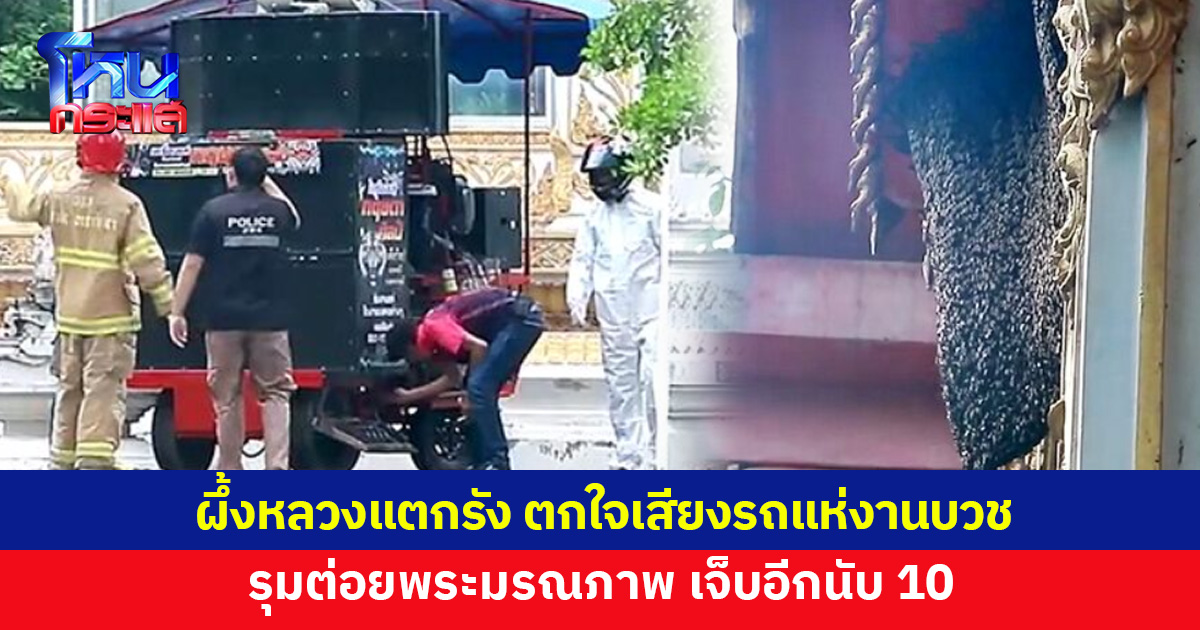 ผึ้งหลวงตกใจเสียงรถแห่งานบวช รุมต่อยพระมรณภาพ เจ็บอีกนับ 10 ชาวบ้านหนีโกลาหล  