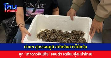 ด่านฯ สุวรรณภูมิ สกัดจับสาวไต้หวัน ซุก ‘เต่าดาวอินเดีย’ รอบตัว เตรียมมุ่งหน้าไทเป