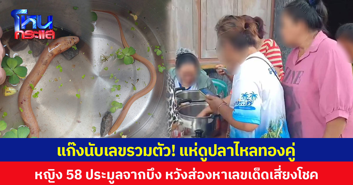 แก๊งนับเลขรวมตัว! แห่ดูปลาไหลทองคู่ หญิง 58 ประมูลจากบึง หวังส่องหาเลขเด็ดเสี่ยงโชค