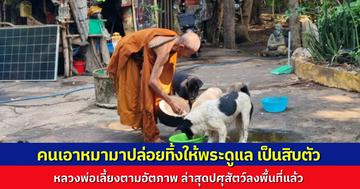 คนใจร้ายแอบเอาสุนัขมาปล่อย 10 กว่าตัว ที่อาศรมถ้ำเป็ดทอง หลวงพ่อสงสาร เลี้ยงตามอัตภาพ ปศุสัตว์ลงพื้นที่ดูแล วอนหยุดสร้างภาระให้วัด