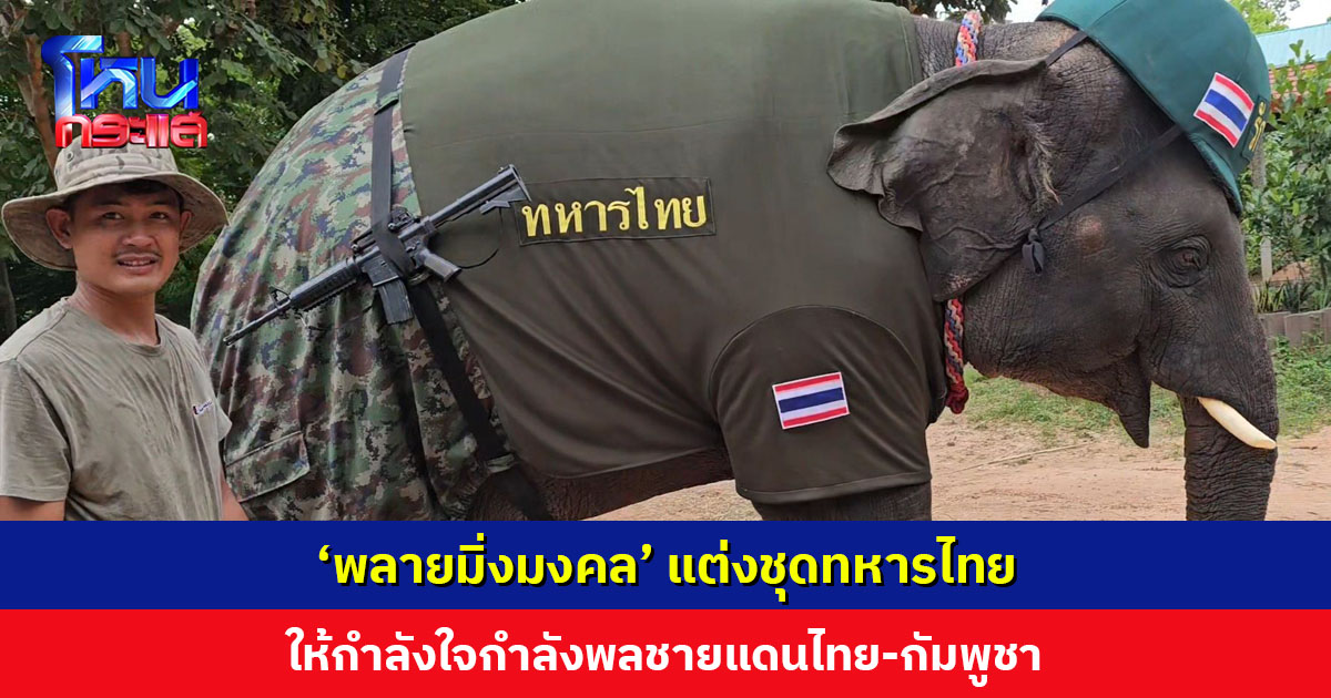 น่ารัก... ‘พลายมิ่งมงคล’ แต่งชุดทหารไทย ให้กำลังใจกำลังพลชายแดนไทย-กัมพูชา