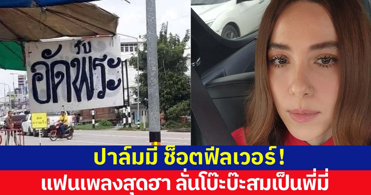 ศีลเสมอ! สมเป็นศิลปิน-แฟนคลับ 'ปาล์มมี่' ตอบกลับมุกแฟนคลับสุดฮา กลายเป็นโมเมนต์โบ๊ะบ๊ะ 