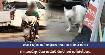 พ่อค้าลูกชิ้น-ไก่ทอดสุดจะทน! หญิงพาหมามาฉี่หน้าร้านทุกวันนานนับปี ติดป้ายห้ามก็ยังไม่สน