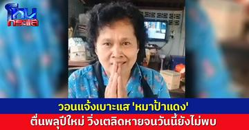 ตามหา 'หมาป้าแดง' ตกใจพลุปีใหม่วิ่งเตลิดหาย วอนแจ้งเบาะแสมีรางวัล 1,000 บาท