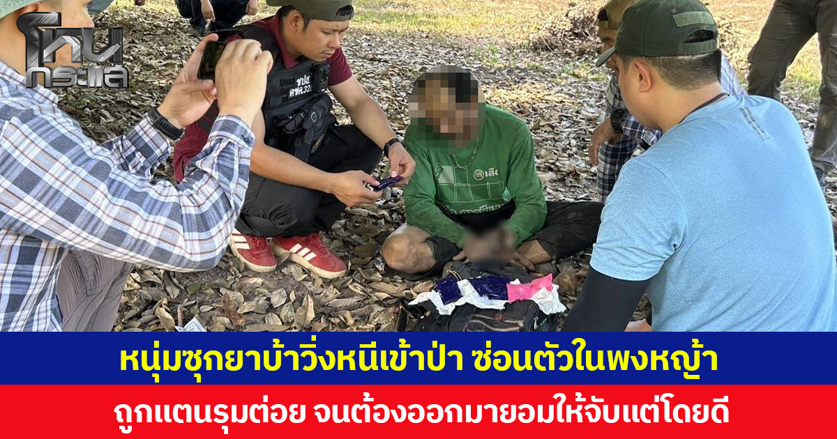 หนุ่มซุกยาบ้าวิ่งหนีเข้าป่า ซ่อนตัวในพงหญ้า ถูกแตนรุมต่อย จนต้องออกมายอมให้จับแต่โดยดี