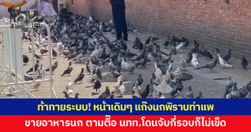 ท้าทายระบบ! หน้าเดิมๆ แก๊งนกพิราบท่าแพ โดนจับกี่รอบก็ไม่เคยเข็ด