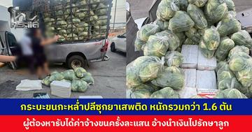 กระบะขนกะหล่ำปลีซุกยาเสพติด ‘ยาบ้า-ยาไอซ์’ หนักรวม 1.6 ตัน ผู้ต้องหารับ ได้ค่าจ้างครั้งละแสน