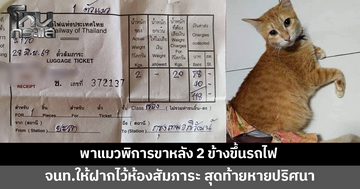 เจ้าของพาแมวพิการขาหลัง 2 ข้างขึ้นรถไฟ เจ้าหน้าที่ให้ฝากไว้ห้องสัมภาระ สุดท้ายหายปริศนา