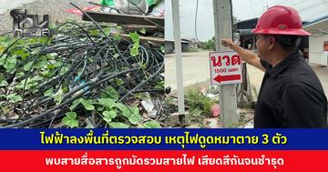 จนท. ไฟฟ้าลงพื้นที่ตรวจสอบ เหตุไฟดูดหมาตาย 3 ตัว พบสายสื่อสารถูกมัดรวมสายไฟ