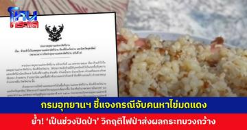 กรมอุทยานฯ แจงกรณีจับคนหาไข่มดแดง ย้ำ! ‘เป็นช่วงปิดป่า’ หากเป็นช่วงปกติผ่อนปรนให้ชาวบ้านเก็บหาของป่าได้ตามระเบียบ
