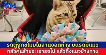 รถตู้หายในห้าง บนรถมีแมว จอดไว้ไม่นาน หายทั้งรถทั้งแมว วอนผู้พบเบาะแสแจ้งข่าว จะมีรางวัลให้