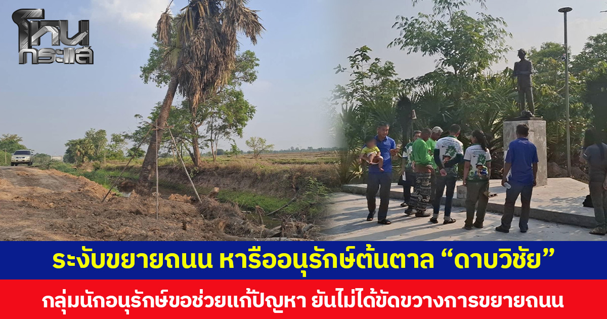 ระงับขยายถนน หารืออนุรักษ์ต้นตาล “ดาบวิชัย” กลุ่มนักอนุรักษ์ขอช่วยแก้ปัญหา ยันไม่ได้ขัดขวางการขยายถนน