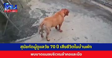 สุนัขกัดผู้ดูแล วัย 70 ปี เสียชีวิตในบ้านพัก พบบาดแผลบริเวณลำคอและมือ