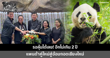 รอลุ้นได้เลย! อีกไม่เกิน 2 ปี แพนด้าคู่ใหม่สู่อ้อมกอดเชียงใหม่