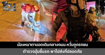 น้องหมาตาบอดเดินกลางถนน ชาวบ้านหวั่นถูกรถชน ตำรวจอุ้มขึ้นรถพาไปส่งที่ปลอดภัย