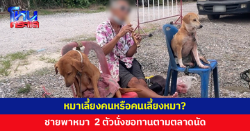 หมาเลี้ยงคนหรือคนเลี้ยงหมา? ชายสูงอายุพาสุนัข 2 ตัวนั่งขอทาน