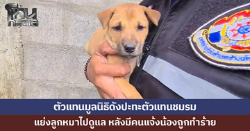 ปะทะคารมสนั่น! ตัวแทนมูลนิธิดัง VS ตัวแทนชมรม แย่งลูกหมาไปดูแล