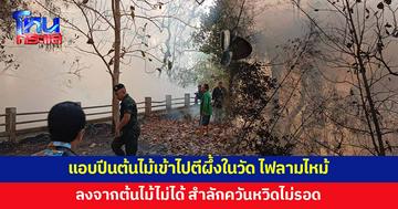 หนุ่มแอบปีนต้นไม้ เข้าไปตีผึ้งในวัด สะเก็ดไฟลามไหม้ป่าไผ่ ลงจากต้นไม้ไม่ได้ แถมสำลักควัน