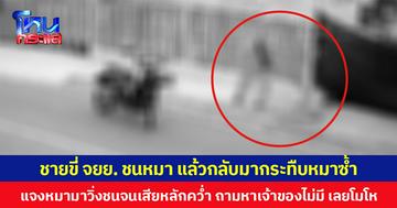 ชายขี่ จยย. ชนหมา แล้วกลับมากระทืบหมาซ้ำ แจงหมามาวิ่งชนจนเสียหลักคว่ำ ถามหาเจ้าของไม่มี เลยโมโห