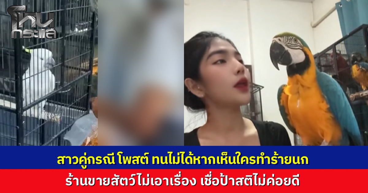 เจ้าของร้านไม่เอาเรื่อง ป้าป้อนลูกชิ้นน้ำจิ้มเผ็ดให้นกแก้วราคาแพง เชื่อป้าสติไม่ค่อยดี  คนในพื้นที่แฉ ป้าชอบเดินขอเงิน