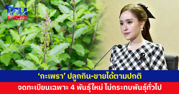 รองโฆษกรัฐบาลแจง 'กะเพรา' ปลูกกิน-ขายได้ตามปกติ จดทะเบียนคุ้มครองเฉพาะ 4 พันธุ์ใหม่
