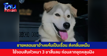 หมา 3 ขา ถูกชายหลอนยาใช้จอบสับหัว ก่อนลากขุดหลุมฝังดิน อ้างแค้นเป็นเรื้อน ส่งกลิ่นเหม็น