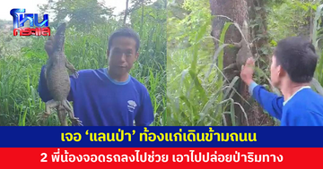 2 พี่น้องเจอแลนป่าท้องแก่เดินข้ามถนน รีบจอดรถลงไปช่วย