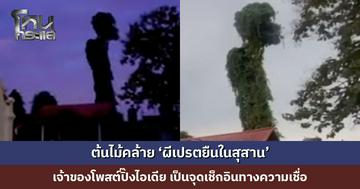ต้นตีนเป็ดถูกไม้เลื้อยปกคลุม คล้าย ‘ผีเปรตยืนในสุสาน’ เจ้าของโพสต์ปิ๊งไอเดีย เป็นจุดเช็กอินทางความเชื่อ ชวนรายการผี-สายมูพิสูจน์