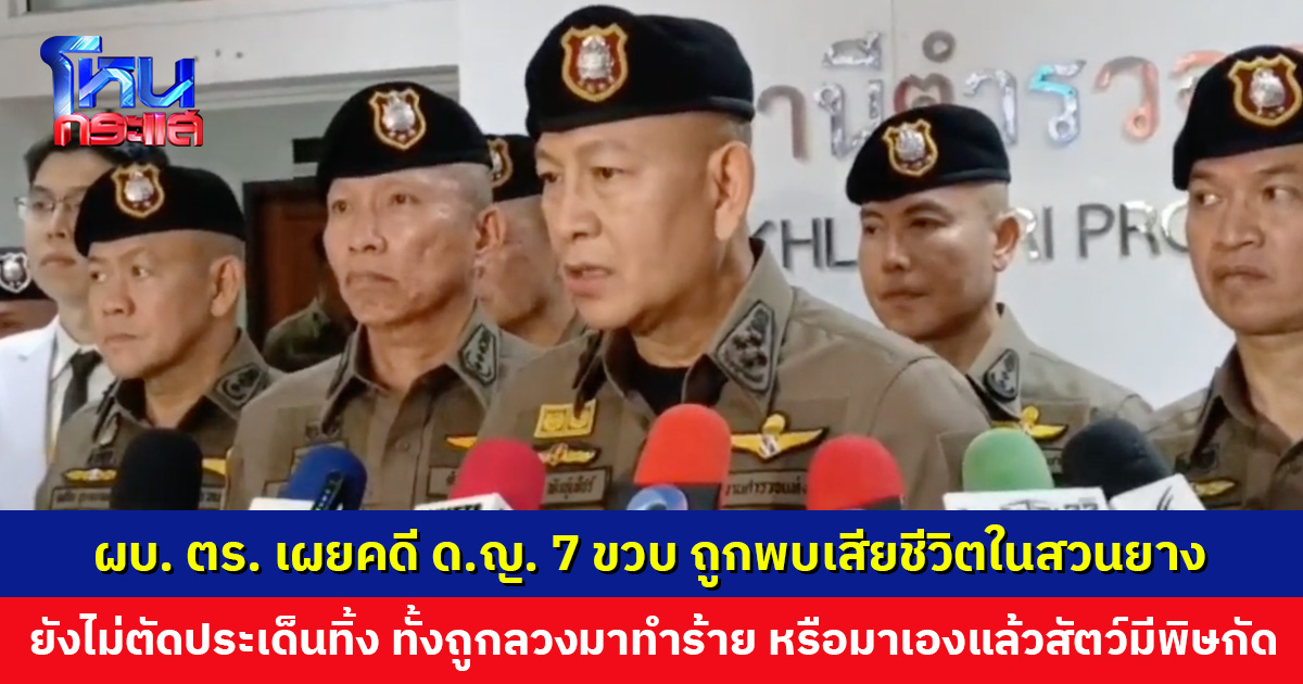 ตำรวจยังไม่ตัดประเด็นทิ้ง คดี ด.ญ. 7 ขวบ หายออกจากบ้าน ก่อนถูกพบเสียชีวิตในสวนยาง