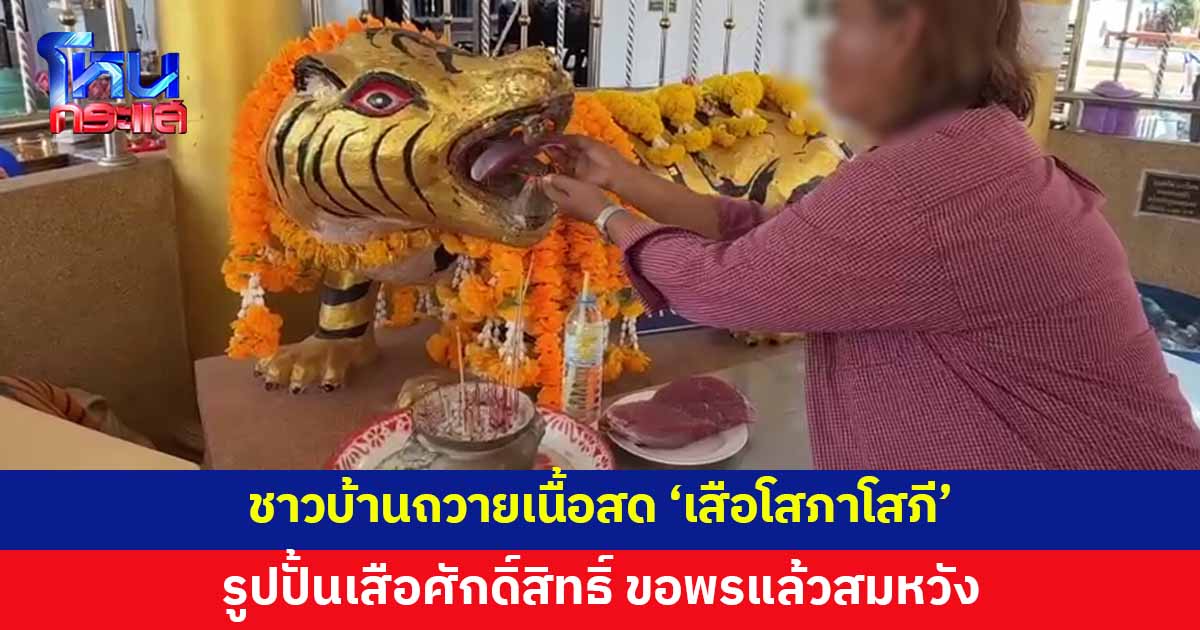 ชาวบ้านแห่ถวายเนื้อสด 'เสือโสภาโสภี' ขอพรแล้วสมหวังแทบทุกเรื่อง