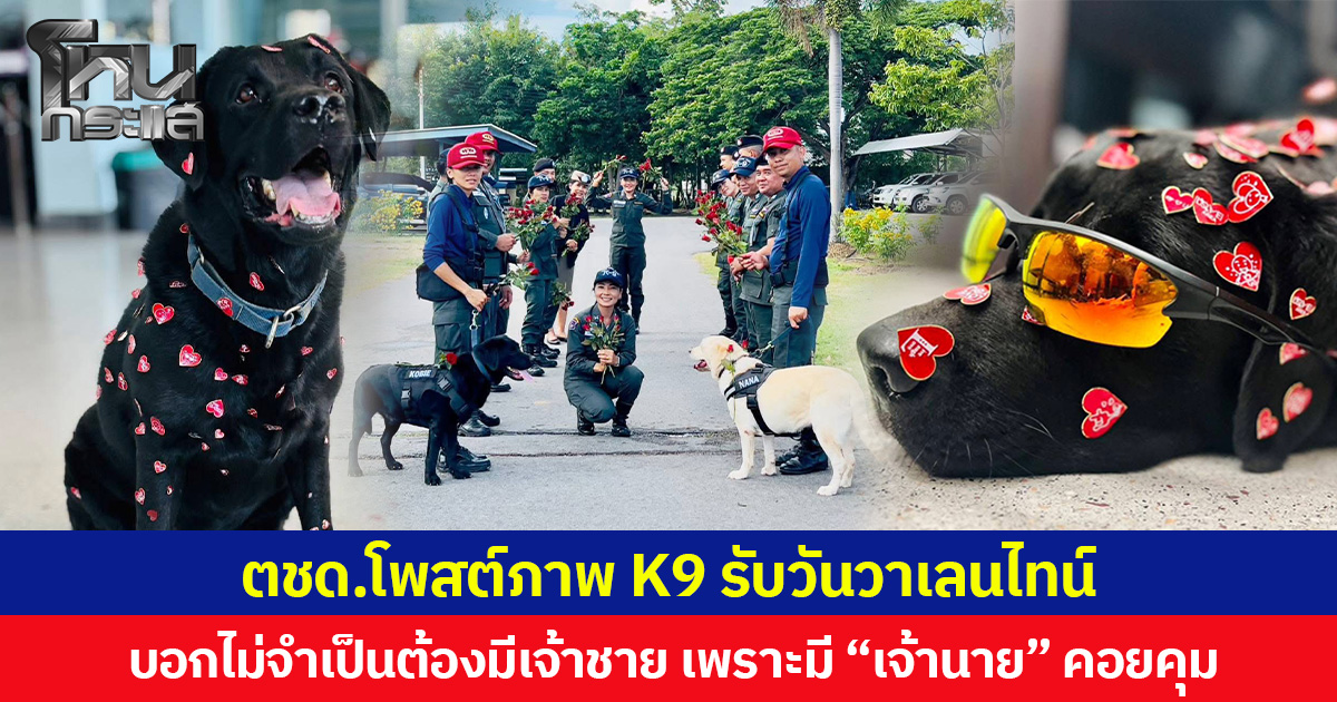 ตชด.โพสต์ภาพ K9 รับวันวาเลนไทน์ บอกไม่จำเป็นต้องมีเจ้าชาย เพราะมี “เจ้านาย” คอยคุม