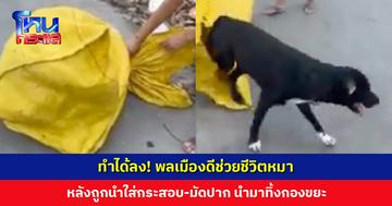 ทำได้ลง! พลเมืองดีช่วยชีวิตหมา หลังถูกนำใส่กระสอบ-มัดปาก นำมาทิ้งกองขยะ
