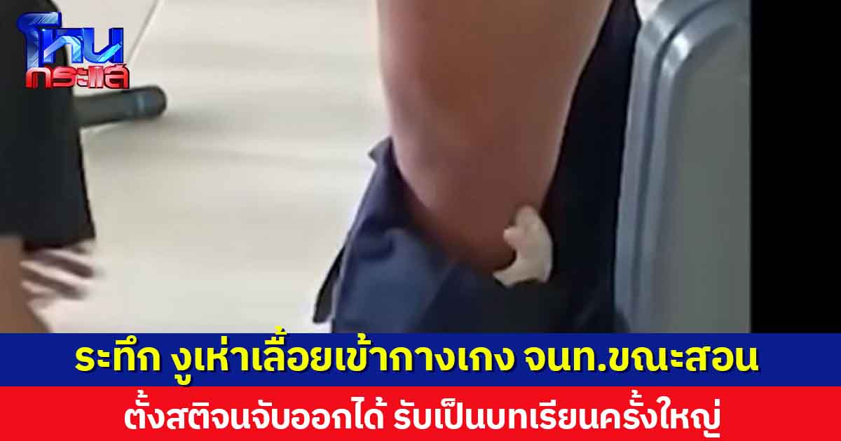 เปิดใจจนท. งูเห่าเลื้อยเข้ากางเกง ตั้งสติจนจับออกได้ รับบทเรียนครั้งใหญ่ พร้อมแนะวิธีหนีจากงู